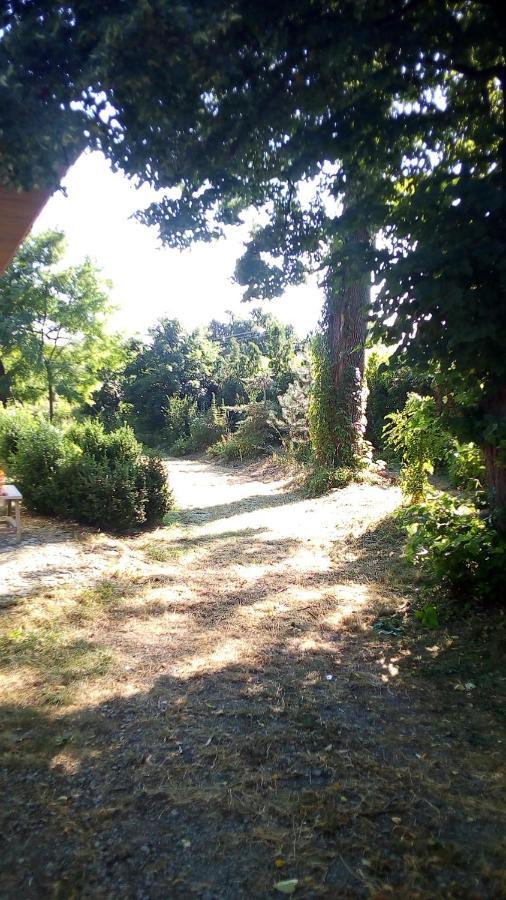 Twoj Azyl Βίλα Świdnik Εξωτερικό φωτογραφία